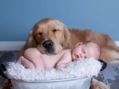 The benefits of a pet in a baby's life